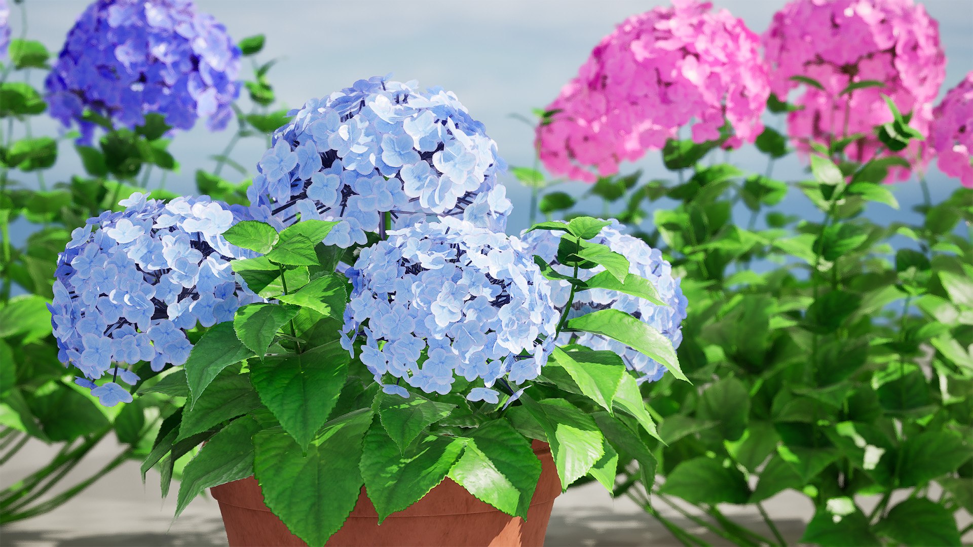 3D Bigleaf Hydrangea flowering shrub https://p.turbosquid.com/ts-thumb/Jl/cWCQ91/68/highresscreenshot00002/jpg/1710586260/1920x1080/fit_q87/ca070b58e416f219f6becc2e525f8627d1851081/highresscreenshot00002.jpg
