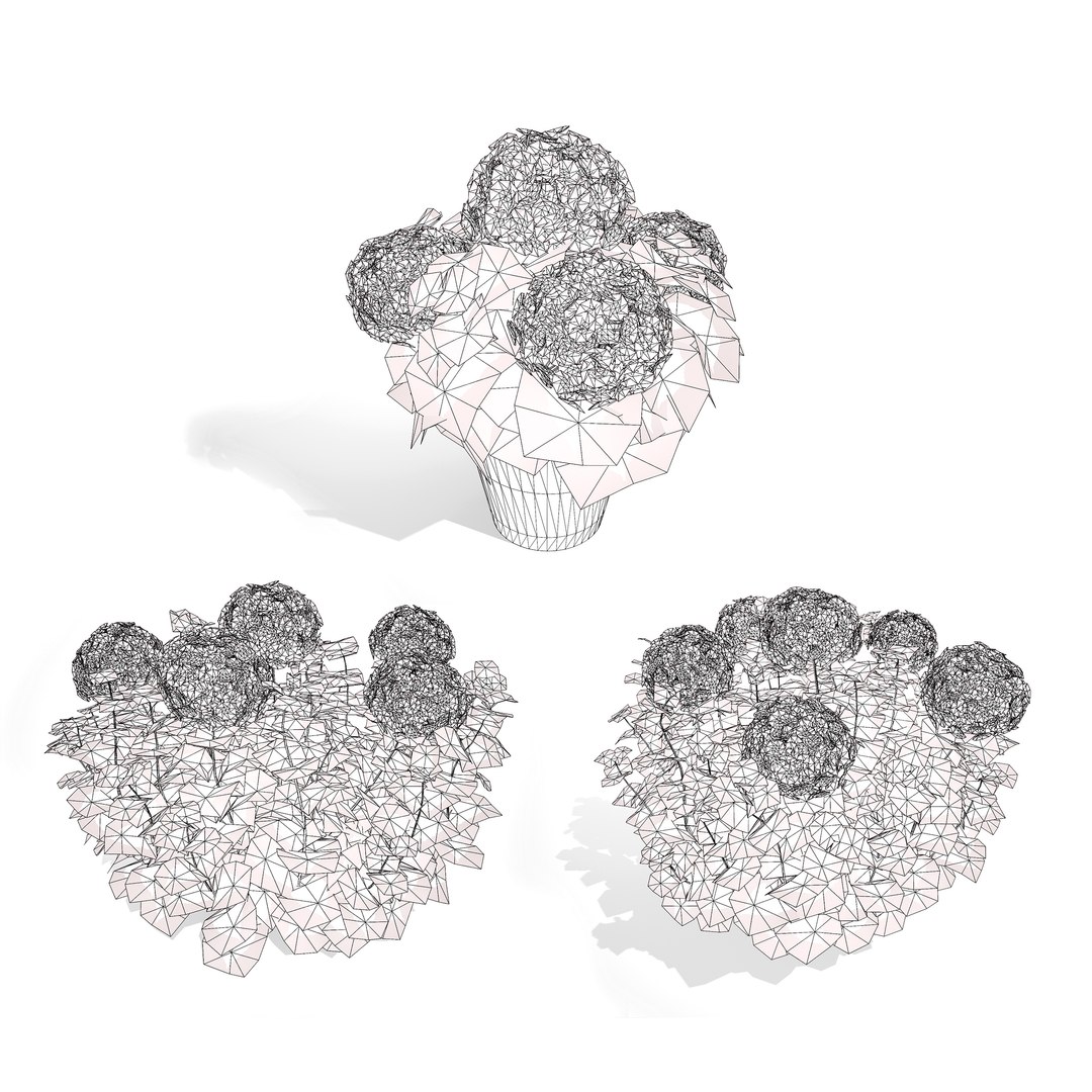 3D Bigleaf Hydrangea flowering shrub https://p.turbosquid.com/ts-thumb/Jl/cWCQ91/KJ/wire/jpg/1710586266/1920x1080/fit_q87/9d74de4b2846fae3dda2e6bdbea74157cffae309/wire.jpg