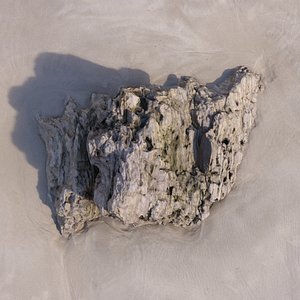 Rock 3D Scan 10