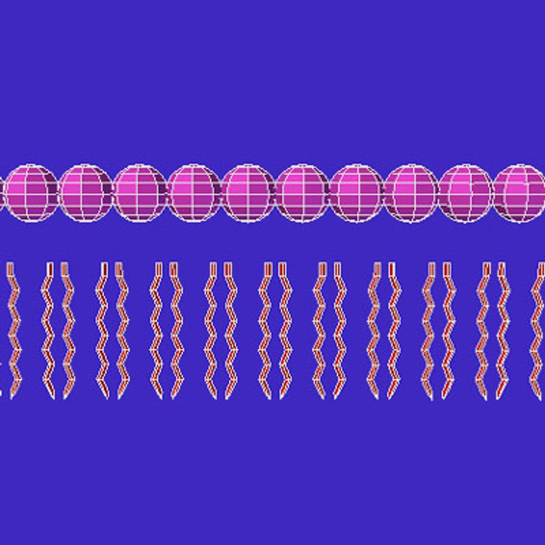 Lightwave Animation Bi-layer