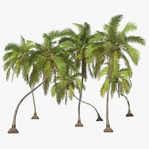 Animated CoconutTrees
