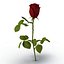 rose 2 3d model