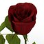 rose 2 3d model