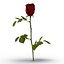 rose 2 3d model