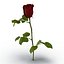 rose 2 3d model