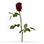 rose 2 3d model