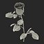 rose 2 3d model