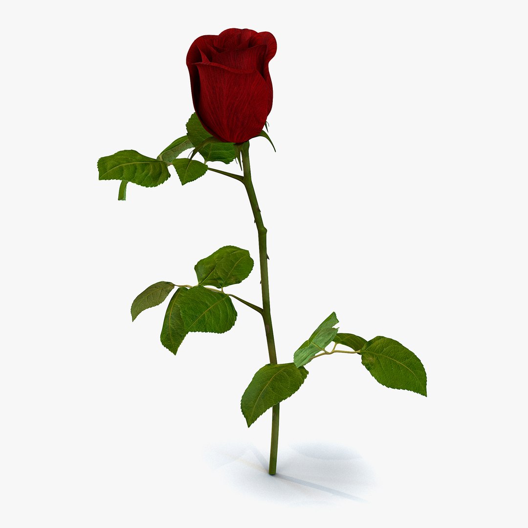 Rose 2 3D Model 3D model preview