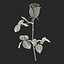 rose 2 3d model