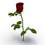 rose 2 3d model