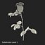 rose 2 3d model