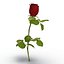 rose 2 3d model