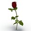 rose 2 3d model
