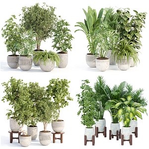 Collection of plants vol 3 3D model