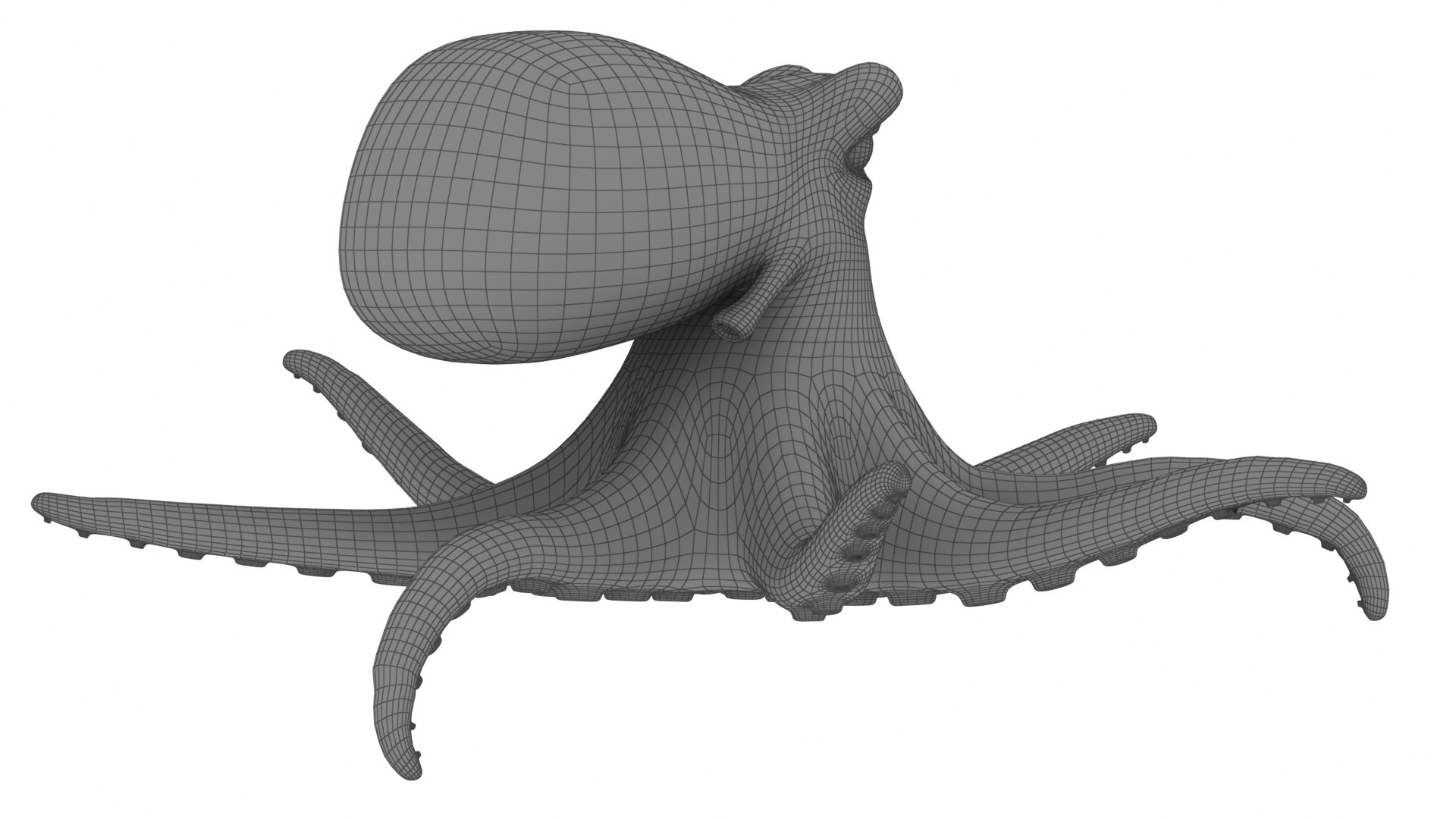 3D Cartoon Sea Creatures Collection 8 in 1 https://p.turbosquid.com/ts-thumb/Jm/SCYy7E/2E/cartoonoctopus19/jpg/1685530043/1920x1080/fit_q87/8bc2c221cb596b38ae6525f33d95ea0131aafce0/cartoonoctopus19.jpg