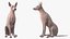 Large Dogs Rigged for Maya Collection 3D model