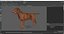 Large Dogs Rigged for Maya Collection 3D model