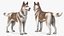 Large Dogs Rigged for Maya Collection 3D model