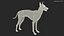 Large Dogs Rigged for Maya Collection 3D model