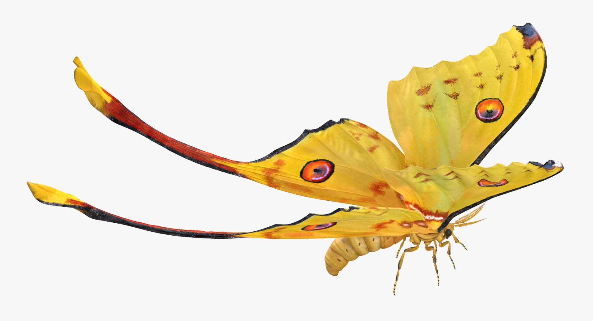 Flying Insects Collection 5 3D model https://p.turbosquid.com/ts-thumb/Jm/gcUnvy/9J/flyinginsectscollection5vray3dmodel058/jpg/1670275099/1920x1080/fit_q87/7abe531c87957ad9fb2ec3d1c1aa364cbd757d78/flyinginsectscollection5vray3dmodel058.jpg