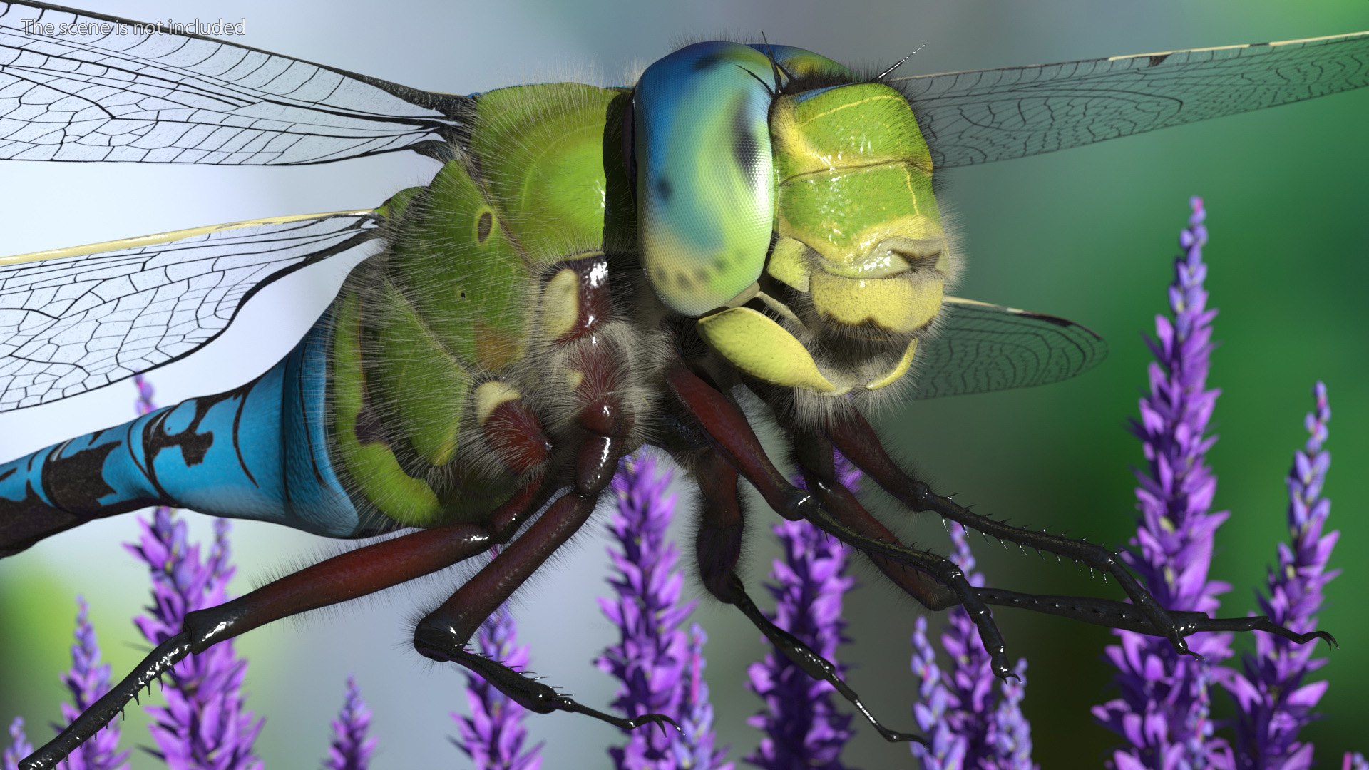 Flying Insects Collection 5 3D model https://p.turbosquid.com/ts-thumb/Jm/gcUnvy/FJ/flyinginsectscollection5vray3dmodel006/jpg/1670274922/1920x1080/fit_q87/39d6d5ab388ae1df93dbd00d2c16d5dd4c13eb51/flyinginsectscollection5vray3dmodel006.jpg