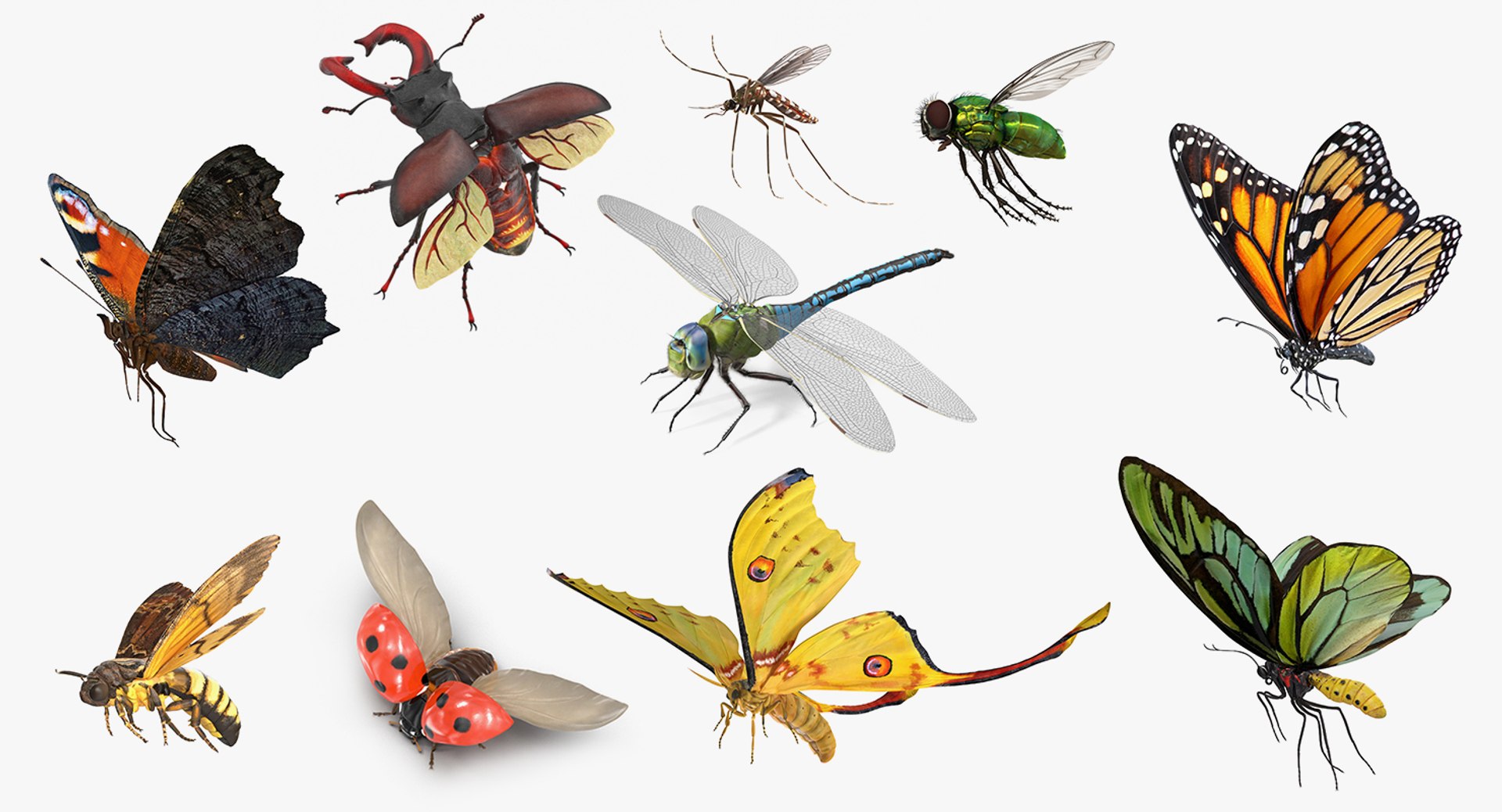 Flying Insects Collection 5 3D model https://p.turbosquid.com/ts-thumb/Jm/gcUnvy/e2/flyinginsectscollection5vray3dmodel001/jpg/1670274900/1920x1080/fit_q87/f2d133f8ff92997713d373a6092410d968e62a31/flyinginsectscollection5vray3dmodel001.jpg