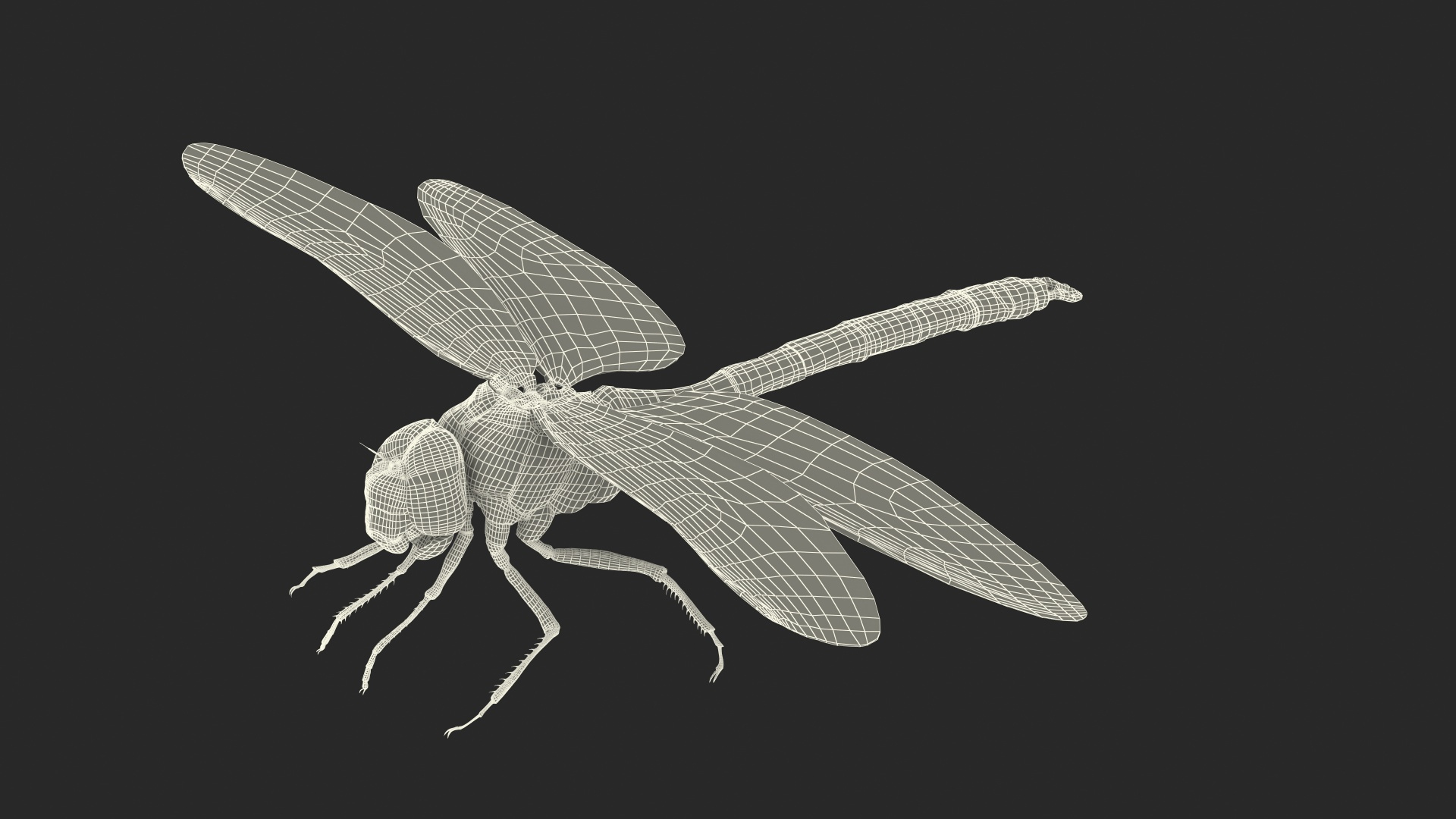 Flying Insects Collection 5 3D model https://p.turbosquid.com/ts-thumb/Jm/gcUnvy/gH/dragonfly_fur_361/jpg/1670275567/1920x1080/turn_fit_q99/6e6dd2feb69338c423a2c3666636ed215d740e19/dragonfly_fur_361-1.jpg