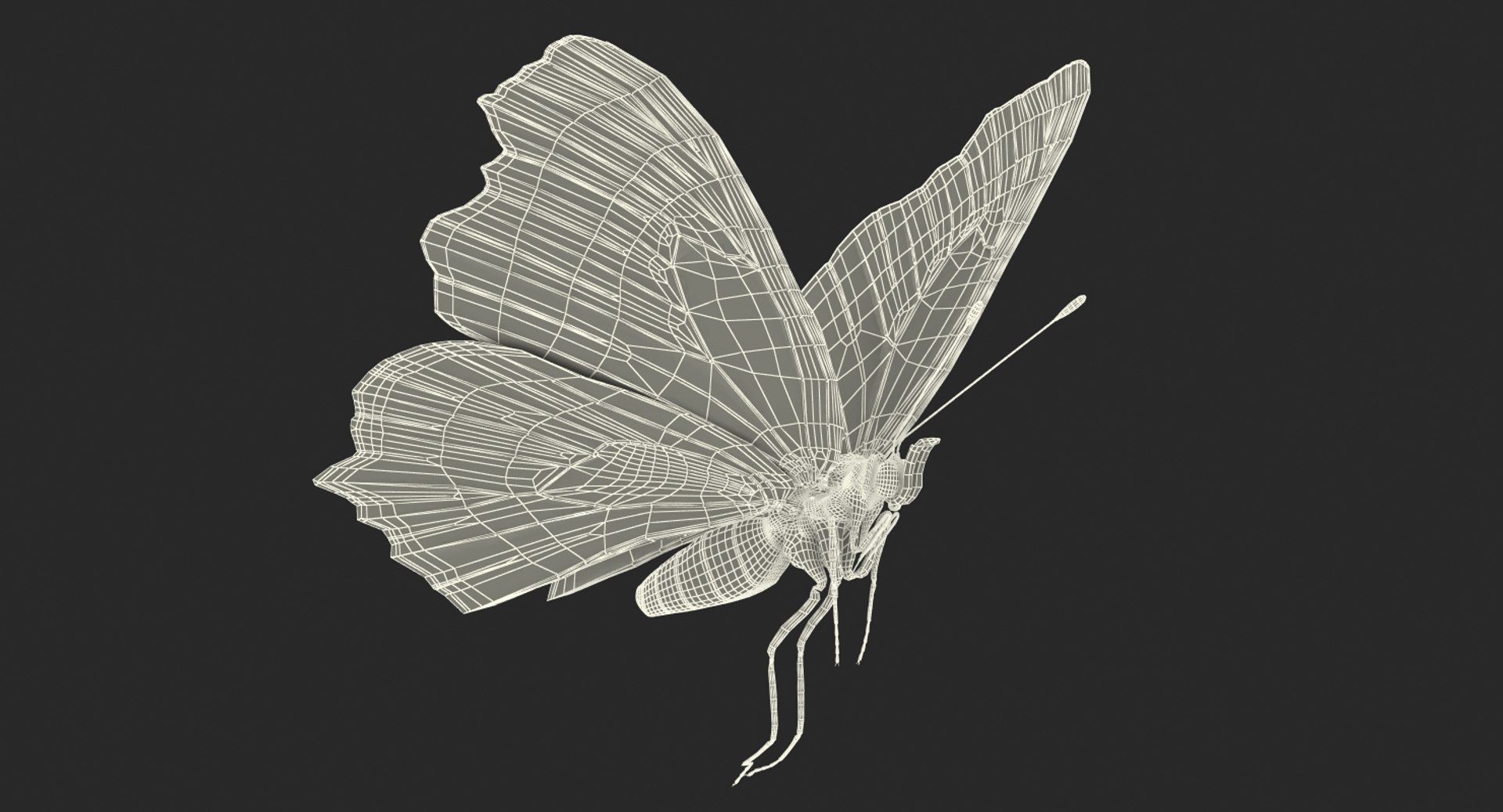 Flying Insects Collection 5 3D model https://p.turbosquid.com/ts-thumb/Jm/gcUnvy/ok/flyinginsectscollection5vray3dmodel081/jpg/1670275185/1920x1080/fit_q87/a0b245a745a724796e5ef2811b0f0359e422dc20/flyinginsectscollection5vray3dmodel081.jpg