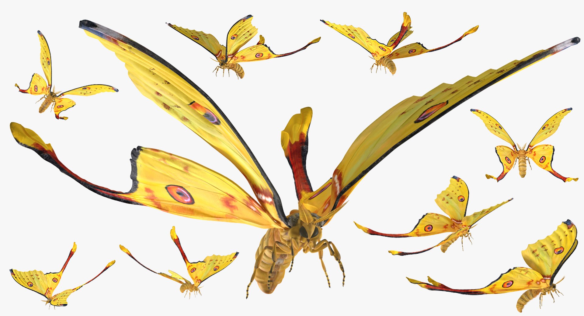 Flying Insects Collection 5 3D model https://p.turbosquid.com/ts-thumb/Jm/gcUnvy/s0/flyinginsectscollection5vray3dmodel061/jpg/1670275109/1920x1080/fit_q87/c86af41de994c36828a516090e91b66b0099fb54/flyinginsectscollection5vray3dmodel061.jpg