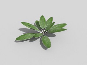 3d plant games