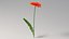 リアルなガーベラの花