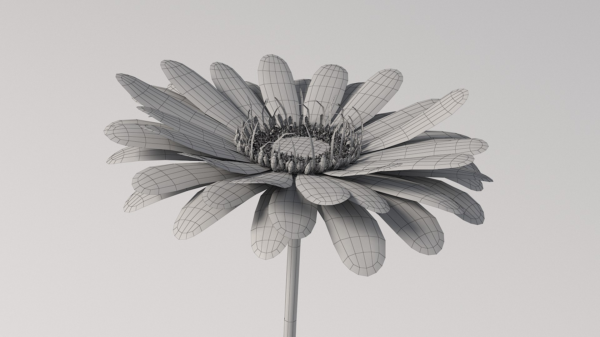 3D realistic gerbera flower https://p.turbosquid.com/ts-thumb/Jm/rkkiZm/3L/flower_gerbera_11/jpg/1773393787/1920x1080/fit_q87/f8247ed275054ff7e4d7f870bdb775171f4aec90/flower_gerbera_11.jpg
