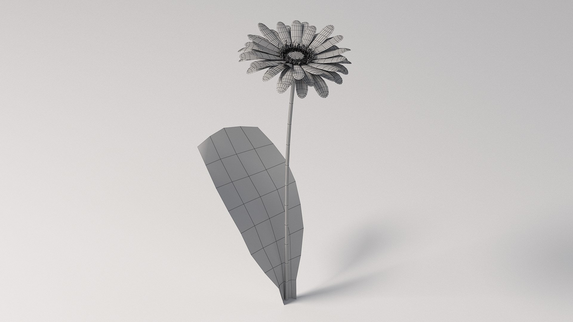 3D realistic gerbera flower https://p.turbosquid.com/ts-thumb/Jm/rkkiZm/4l/flower_gerbera_10/jpg/1773393786/1920x1080/fit_q87/9813a298234a54379bcf70ab6abe63b5b566d0fe/flower_gerbera_10.jpg