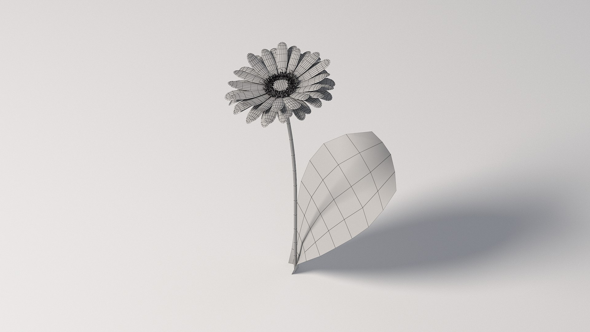 3D realistic gerbera flower https://p.turbosquid.com/ts-thumb/Jm/rkkiZm/Ag/flower_gerbera_12/jpg/1773393788/1920x1080/fit_q87/507aac1f1ceab1b324edbafd44c1ea1430fca616/flower_gerbera_12.jpg