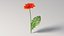 リアルなガーベラの花