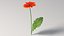 リアルなガーベラの花