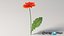 リアルなガーベラの花
