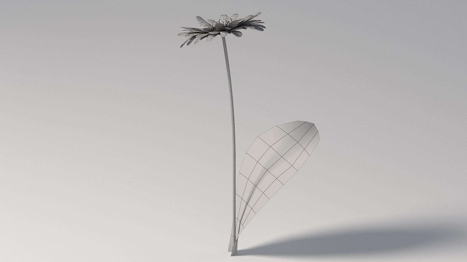 3D realistic gerbera flower https://p.turbosquid.com/ts-thumb/Jm/rkkiZm/aI/flower_gerbera_09/jpg/1773393783/1920x1080/fit_q87/6b925afcb63689ba5a4bc81a43290ae8007ee07a/flower_gerbera_09.jpg