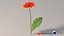 リアルなガーベラの花