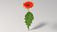 リアルなガーベラの花