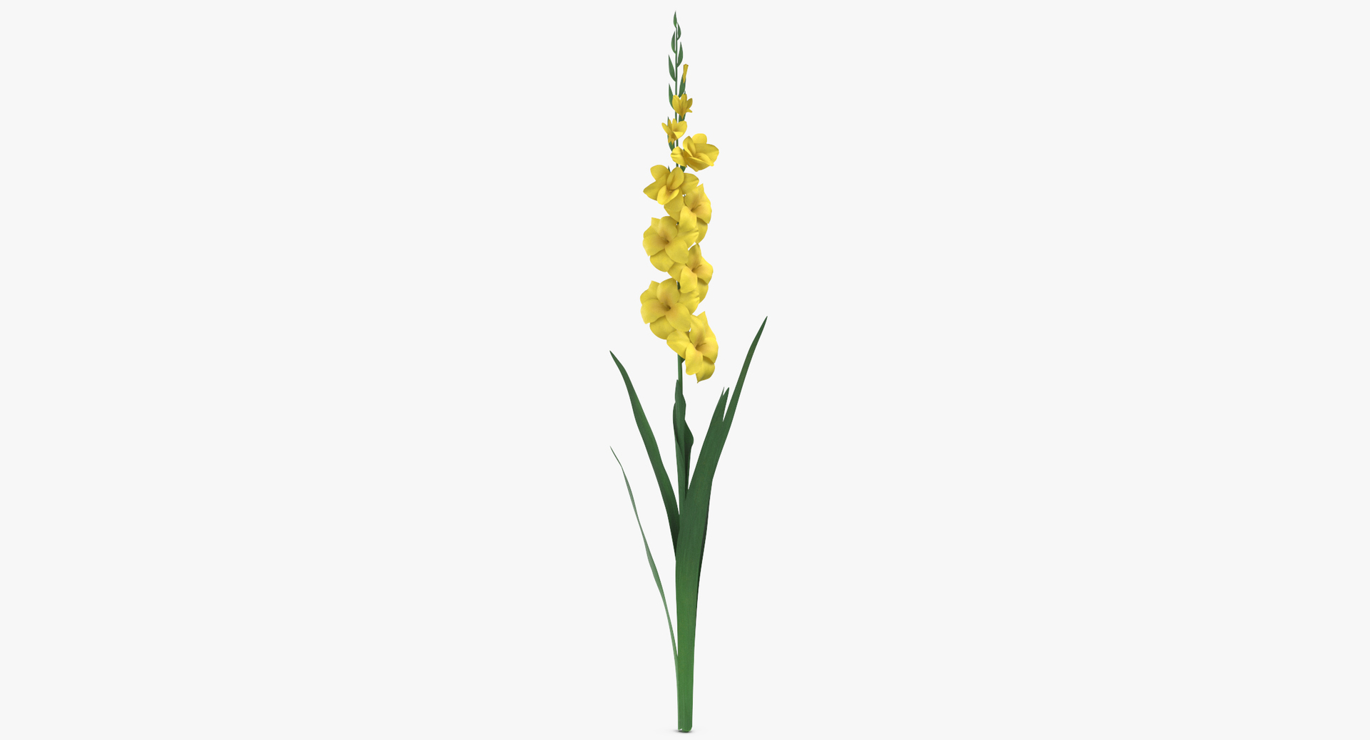 yellow floral set 01 3D model https://p.turbosquid.com/ts-thumb/Jm/vxb1kO/KziT3goP/0000/jpg/1564659289/1920x1080/turn_fit_q99/d2e98b5545d8564d49f4d522db413d9d0ab3b94e/0000-1.jpg