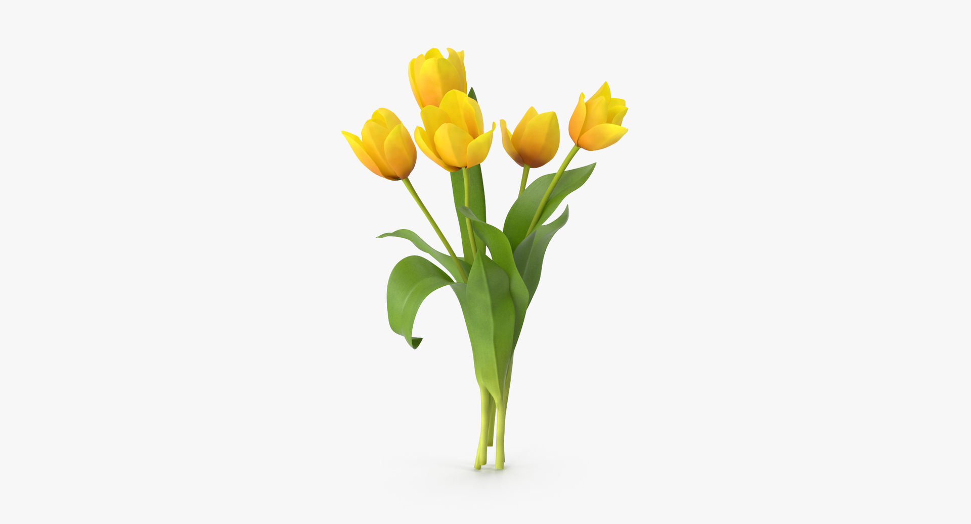 yellow floral set 01 3D model https://p.turbosquid.com/ts-thumb/Jm/vxb1kO/NFNG6mzC/0000/jpg/1564582009/1920x1080/turn_fit_q99/9830b3b44893895a11183cb35dc2d39b8d9015a0/0000-1.jpg