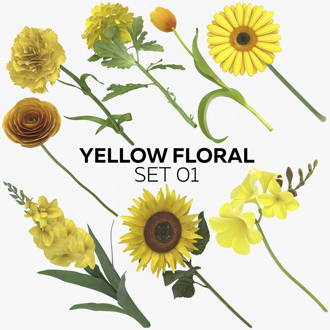 yellow floral set 01 3D model https://p.turbosquid.com/ts-thumb/Jm/vxb1kO/XDCje8j7/yellow_floral_set_01_thumbnail_08/jpg/1568981186/1920x1080/fit_q87/4d9ecd240720628385be8555cde1ce9383648ef1/yellow_floral_set_01_thumbnail_08.jpg