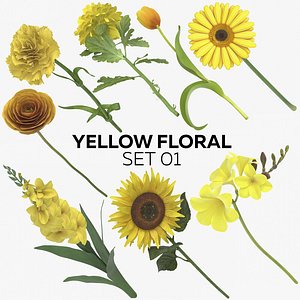 yellow floral set 01 3D model