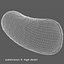 Bacilo Bacteria