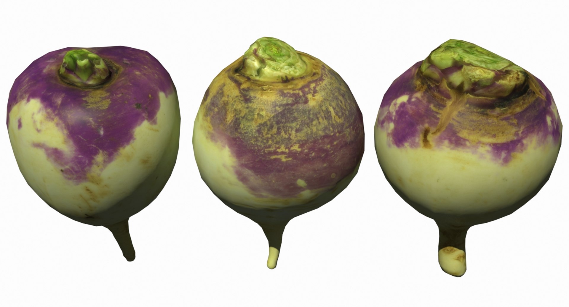 3D Turnip Scan | 1142588 | TurboSquid
