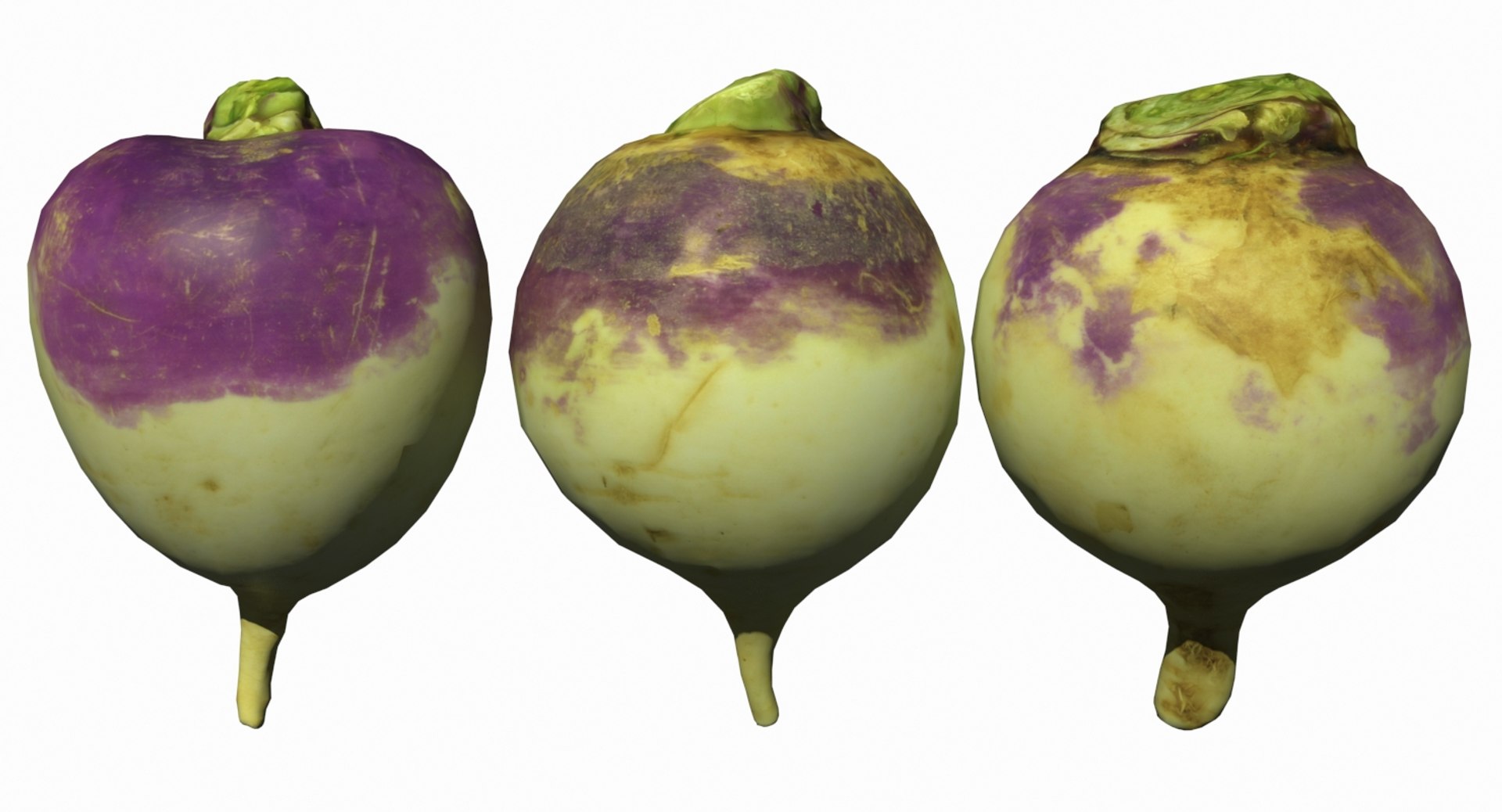 3D Turnip Scan | 1142588 | TurboSquid