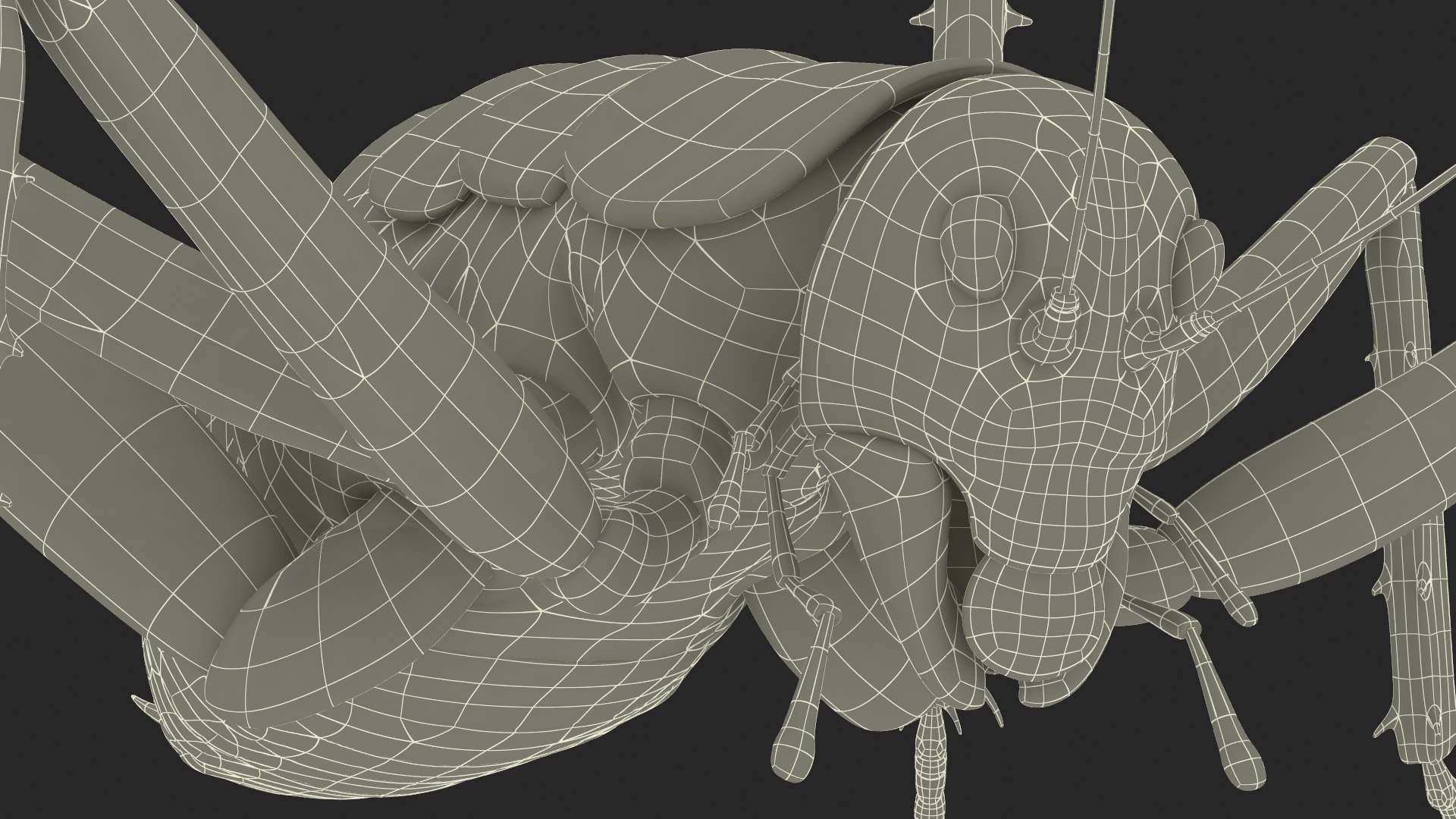 EUGY 3D Cardboard Kit Set Model - 122 Manatee