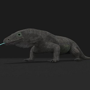 3D komodo dragon model