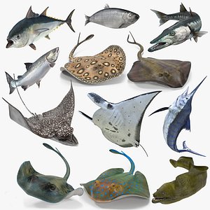 Fishes Collection Rigged for Maya